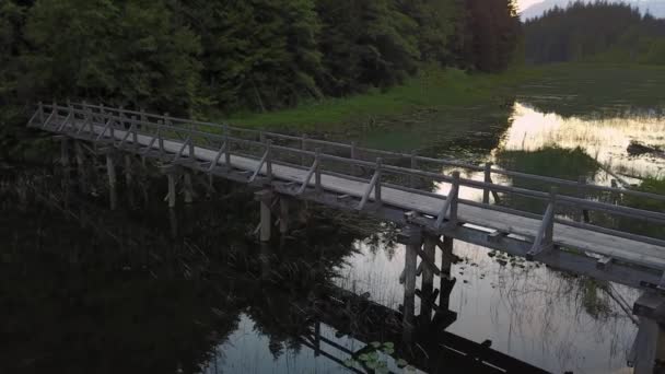 Luftaufnahme Einer Holzbrücke Auf Der Menschen Über Einen Sumpfigen See — Stockvideo