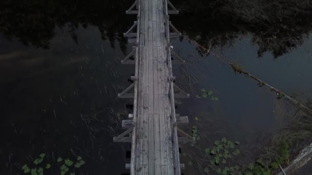 Luftaufnahme Einer Holzbrücke Auf Der Menschen Über Einen Sumpfigen See — Stockvideo