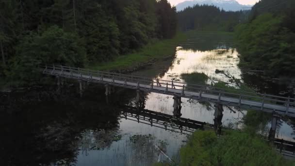 鸟瞰一座木桥 人们徒步穿越沼泽湖泊进入树林 Brohm 湖娱乐场 在惠斯勒和 Squamish 温哥华北部 不列颠哥伦比亚省 加拿大 — 图库视频影像