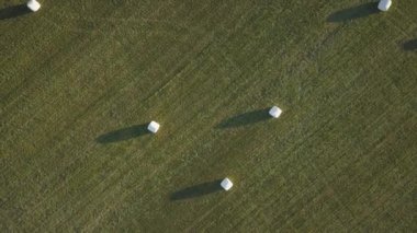 Havadan görünümü üzerinde yeşil bir alana bir yaz gün batımı sırasında döşeme saman yığınları. Büyük Vancouver, British Columbia, Kanada alınan.