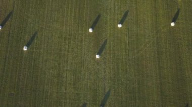 Havadan görünümü üzerinde yeşil bir alana bir yaz gün batımı sırasında döşeme saman yığınları. Büyük Vancouver, British Columbia, Kanada alınan.