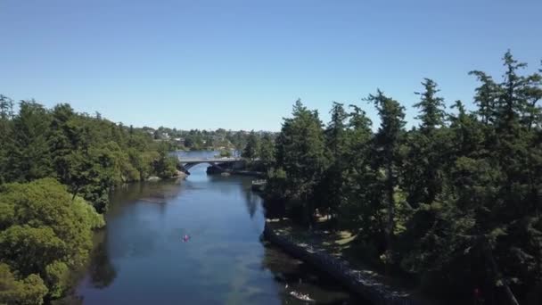 Vue Aérienne Gorge Park Dans Capitale Victoria Sur Île Vancouver — Video