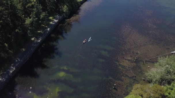 Vista Aérea Gorge Park Capital Victoria Ilha Vancouver Colúmbia Britânica — Vídeo de Stock
