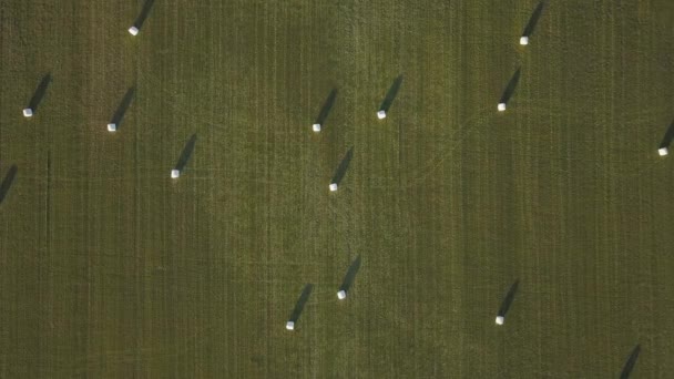 Aerial View Hay Stacks Laying Green Field Summer Sunset Taken — Stock Video