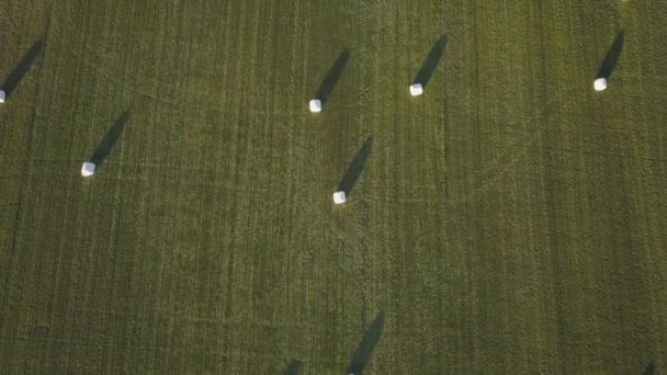 在夏季日落时 干草堆铺设在绿色的田野上的鸟瞰图 在加拿大不列颠哥伦比亚省的大温哥华拍摄 — 图库视频影像