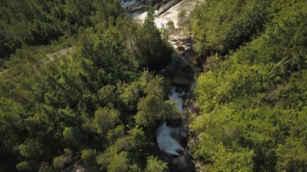 Vacker Natur Från Ovan Massiva Vattenfall Som Faller Från Klippa — Stockvideo