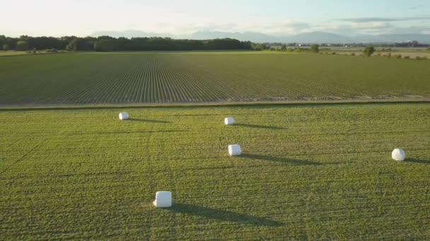 Letecký Pohled Zelené Louce Kterým Během Letní Západ Slunce Seno — Stock video