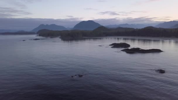 Luchtfoto Van Prachtige Kust Stille Oceaan Tijdens Een Zomer Sunrise — Stockvideo