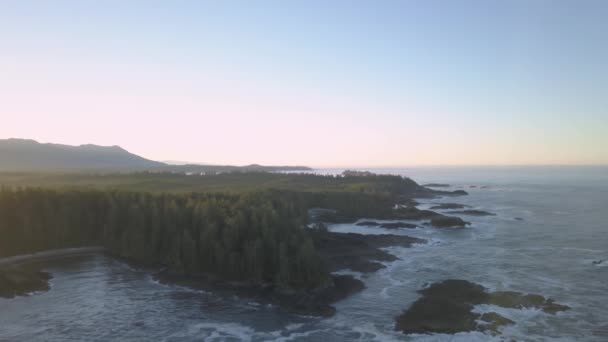 Flygfoto Över Vackra Naturliga Marinmålning Stilla Havet Kusten Solig Sommar — Stockvideo