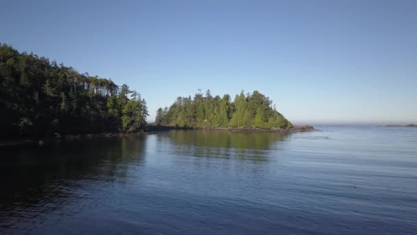 在阳光明媚的夏日日出时 太平洋沿岸美丽的自然海景的鸟瞰图 视频拍摄在托菲诺 温哥华岛 不列颠哥伦比亚省 加拿大 — 图库视频影像