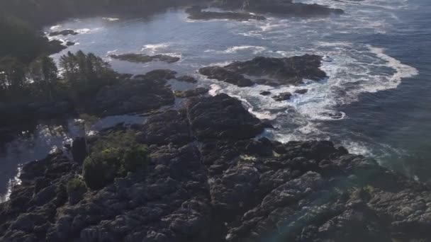 鸟瞰在阳光明媚的夏日 海浪粉碎在岩石太平洋沿岸的波浪 在加拿大不列颠哥伦比亚省温哥华岛托菲诺和乌克雷特附近拍摄的视频 — 图库视频影像