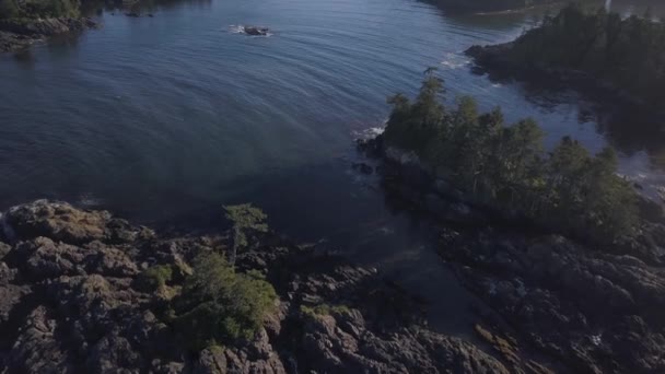 Aerial View Beautiful Natural Seascape Pacific Ocean Coast Sunny Summer — Stock Video