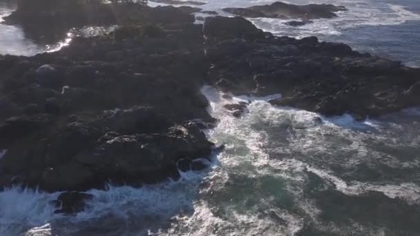 Luftaufnahme Der Wunderschönen Natürlichen Meereslandschaft Der Pazifikküste Während Eines Sonnigen — Stockvideo