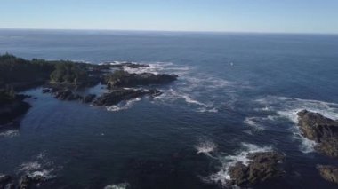 Pasifik Okyanusu güzel kayalık kıyısında bir yaz sabahı sırasında hava görünümünü. Ucluelet, Vancouver Adası, British Columbia, Kanada çekilen video.