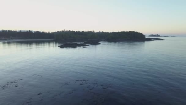 Luftaufnahme Der Wunderschönen Natürlichen Meereslandschaft Der Pazifikküste Während Eines Sonnigen — Stockvideo