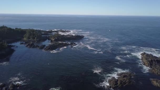 Aerial View Beautiful Rocky Coast Pacific Ocean Summer Morning Video — Stock Video