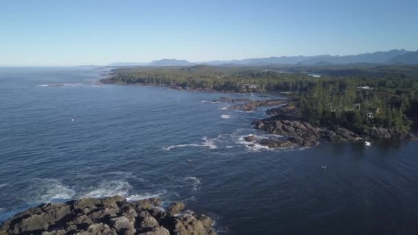 Aerial View Beautiful Rocky Coast Pacific Ocean Summer Morning Video — Stock Video