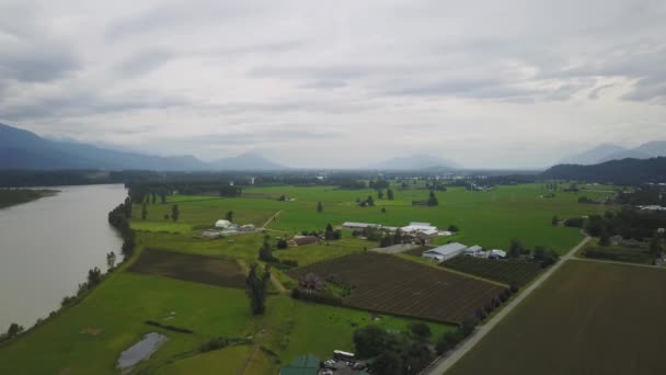 Vista Aérea Sobre Rio Fraser Descendo Vale Entre Chilliwack Hope — Vídeo de Stock