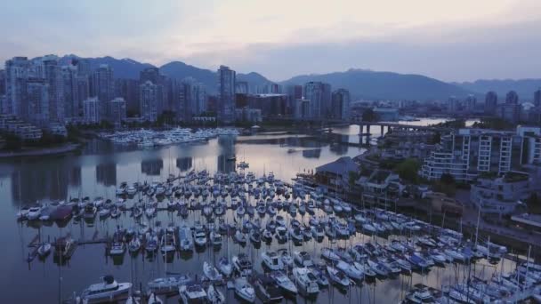 空中鸟瞰的帆船停泊在码头与市中心城市天际线背景 在错误的小河 温哥华 不列颠哥伦比亚省 加拿大 在清晨的日出 — 图库视频影像