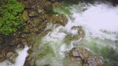 Havadan görünümü güzel doğal Kanyon arazi akıntıya akan temiz su ile. Lynn Valley, North Vancouver, British Columbia, Kanada çekilen video.