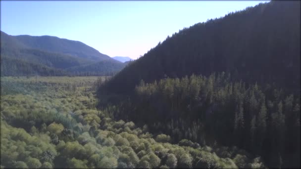 Luchtfoto Landschapsmening Van Cheakamus Canyon Tijdens Een Bewolkt Zomerochtend Genomen — Stockvideo
