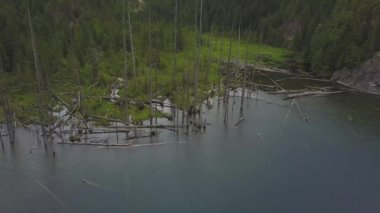 Dirsek göl kenarında Harrison Mills, East of büyük Vancouver, British Columbia, Kanada, havadan görünümü.