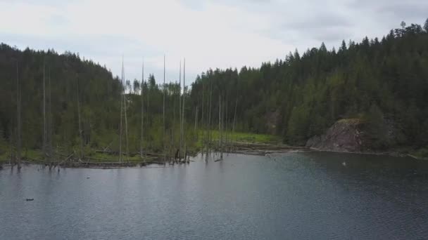 Flygfoto Över Armbågen Sjön Nära Harrison Mills Öster Större Vancouver — Stockvideo