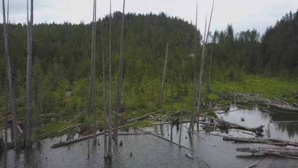 Vue Aérienne Lac Elbow Près Harrison Mills Est Grand Vancouver — Video