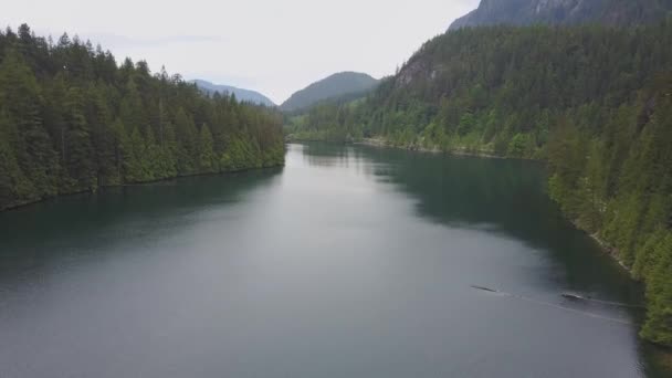 Aerial View Beautiful River Flowing Valley Mountains Taken Tofino Vancouver — Stock Video