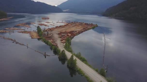 Vista Aérea Una Fábrica Molinos Madera Harrison Mills Este Vancouver — Vídeo de stock