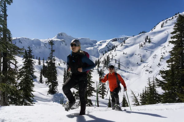 Maceracı Erkek Kadın Karda Snowshoeing Alınan Sanatçı Noktasında Kuzeydoğusunda Seattle — Stok fotoğraf