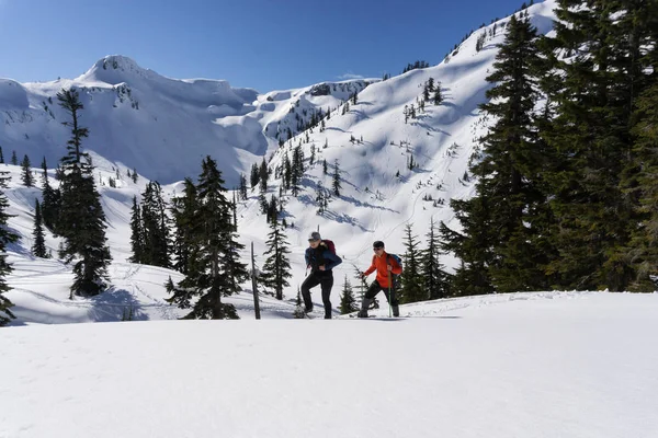 Maceracı Erkek Kadın Karda Snowshoeing Alınan Sanatçı Noktasında Kuzeydoğusunda Seattle — Stok fotoğraf