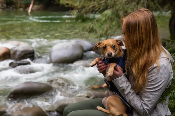 Mujer Acariciando Perrito Chihuahua Sus Brazos Rodeada Hermosa Naturaleza Tomado — Foto de Stock