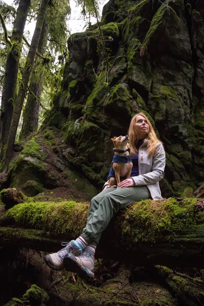 Holiding 치와와 자연에 둘러싸인 그녀의 밴쿠버 브리티시 컬럼비아 캐나다에서 — 스톡 사진
