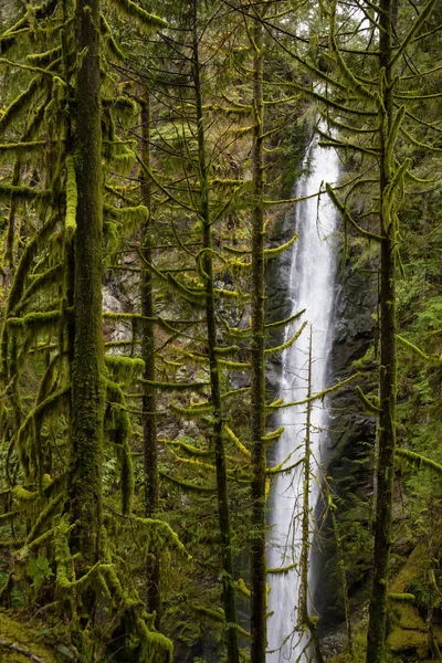 Vacker Skog Och Vattenfall Natur Lynn Valley Canyon Tagit North — Stockfoto