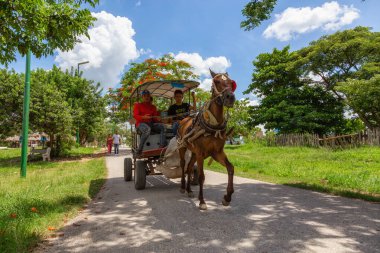 Ciego de Avila, Orta Küba - 14 Haziran 2019: Bulutlu ve güneşli bir yaz gününde küçük bir Küba kasabasının yeşil parkında at arabası sürmek.