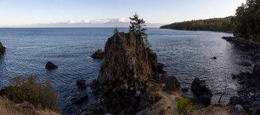 Creyke Point, East Sooke Bölge Parkı, Sooke, Vancouver Adası, British Columbia, Kanada. Güneşli yaz günbatımında kayalık bir kıyı manzarası.