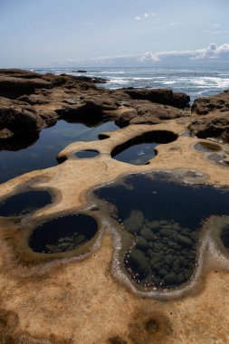 Botanik Plajı, Port Renfrew, Vancouver Adası, British Columbia, Kanada. Güneşli bir yaz gününde Pasifik Okyanusu kıyısındaki Rocky Sahili 'nin güzel manzarası.