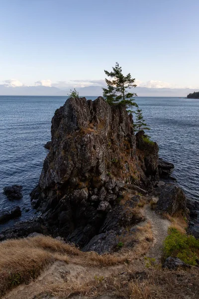 Creyke Point East Sooke Regional Park Sooke Vancouver Island Βρετανική — Φωτογραφία Αρχείου