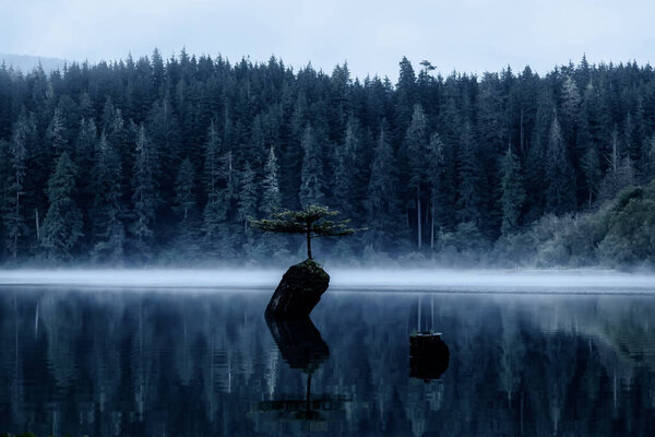 Порт Ренфрю, остров Ванкувер, Британская Колумбия, Канада. Вид на Iconic Bonsai Tree на Fairy Lake во время туманного летнего восхода солнца
.