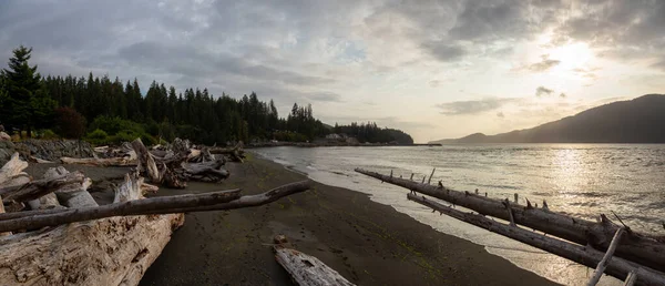 Port Renfrew Vancouver Island Καναδάς Όμορφη Πανοραμική Θέα Μιας Παραλίας — Φωτογραφία Αρχείου