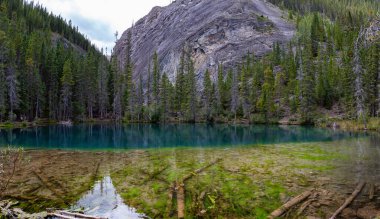 Parlak bir yaz gününde Grassi Gölü 'nün güzel manzarası. Canmore, Alberta, Kanada 'da çekildi..