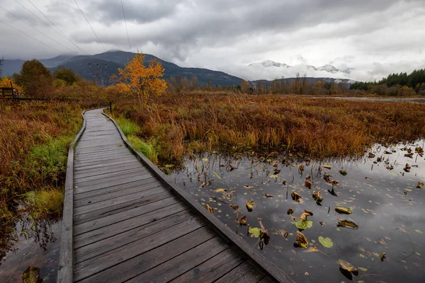 Pemberton Kolumbia Brytyjska Kanada Piękny Widok Drewnianej Ścieżki Parku One — Zdjęcie stockowe