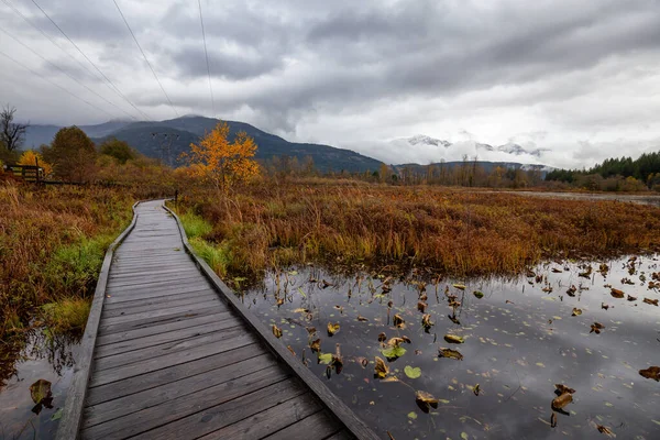 Pemberton Kolumbia Brytyjska Kanada Piękny Widok Drewnianej Ścieżki Parku One — Zdjęcie stockowe