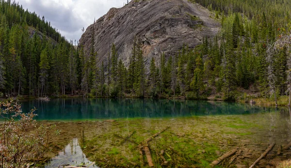 Bella Vista Sul Lago Grassi Durante Una Vivace Giornata Estiva — Foto Stock