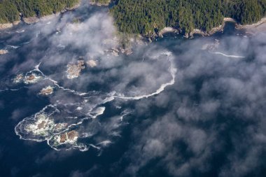 Güneşli bir yaz sabahı boyunca Pasifik Okyanusu 'nun güzel hava manzarası. Pasifik Rim Ulusal Parkı, Tofino ve Ucluelet 'in güneyi, Vancouver Adası, British Columbia, Kanada.