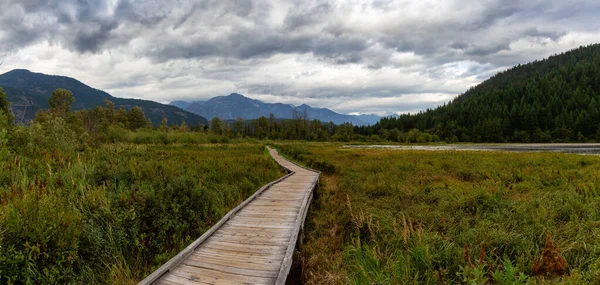 Trä Vandringsled One Mile Lake Med Gröna Levande Växter Och — Stockfoto