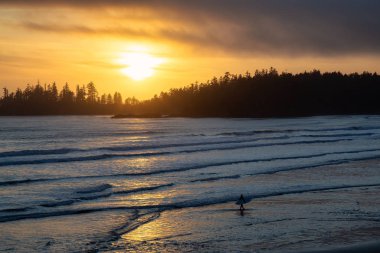 Long Beach, Near Tofino ve Ucluelet Vancouver Adası, Bc, Kanada. Sörf tahtası olan siluet sörfçü, arka planda Pasifik Okyanusu kıyısında altın gün batımıyla suda yürüyor..