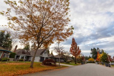 Fraser Heights, Surrey, Büyük Vancouver, Bc, Kanada. Rengârenk bir sonbahar sezonu ve bulutlu bir gün batımı gökyüzü sırasında Güzel bir sokak manzarası.