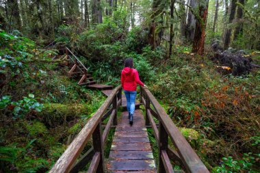 Vahşi bir ormanda tahta bir patikada yürüyen kırmızı paltolu bir kadın. Tofino ve Ucluelet yakınlarında, Vancouver Adası, Bc, Kanada.